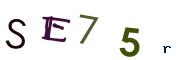 Image CAPTCHA